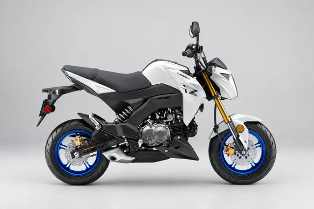 2026 Kawasaki Z125 PRO photo 4